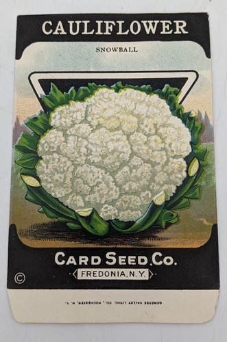 Vintage cauliflower seed - vintage,